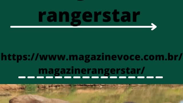 o Verde e Rosa Logo Minimalista.mp4 loja rangerstar