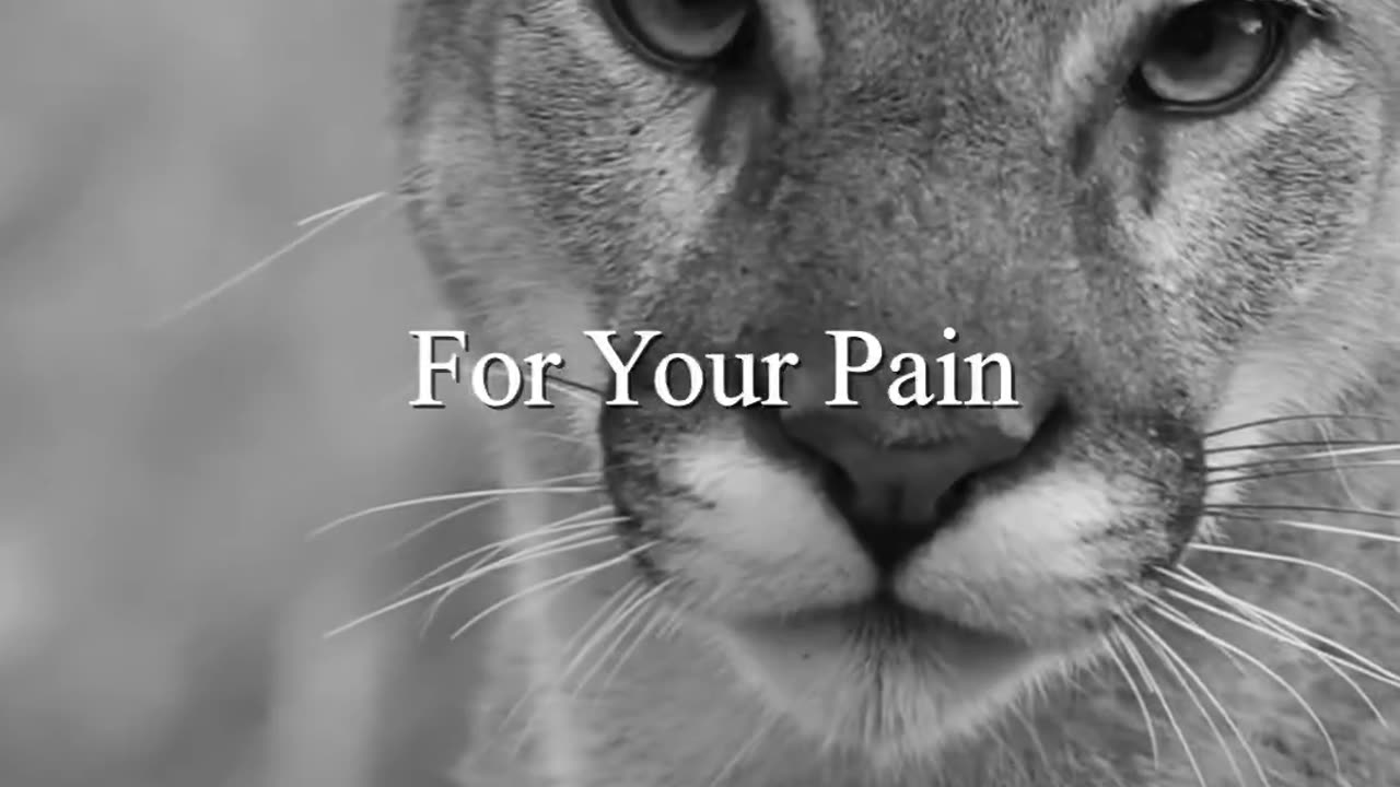 If You're Having A ...