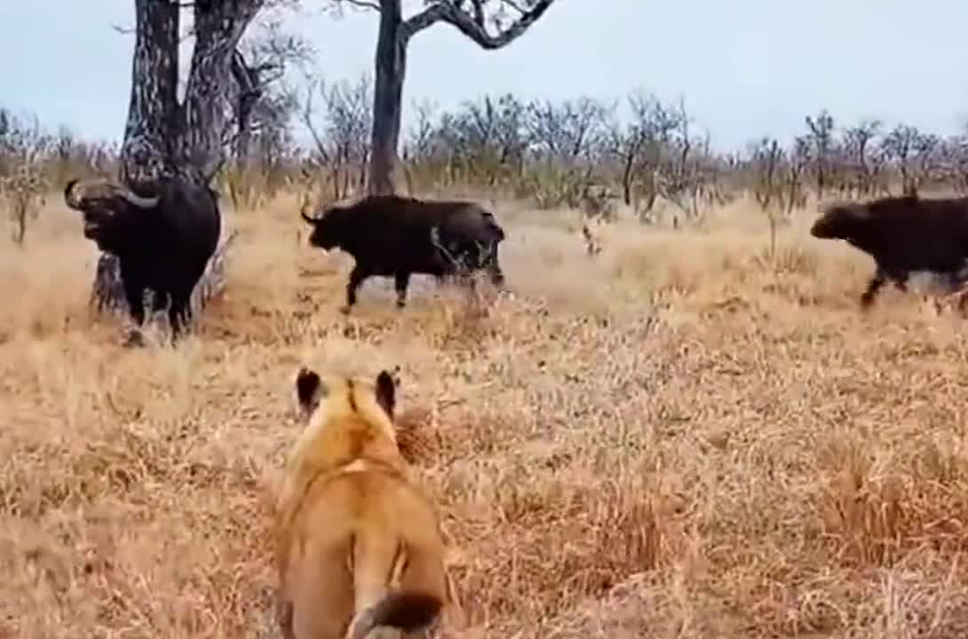 Friends comes to rescue