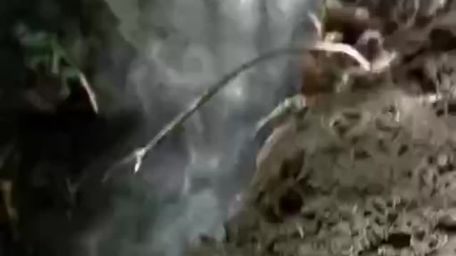 152mm shell lands in Ukrainian foxhole but does not explode