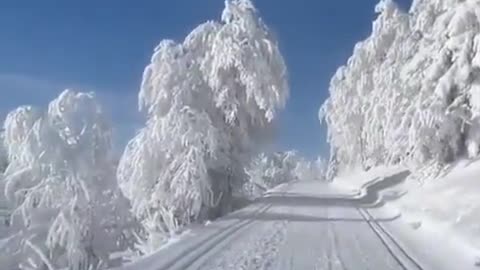 wonderful winter landscape