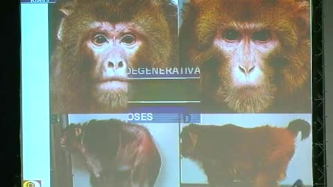 Medicina Nutricional II - Dr. Lair Ribeiro