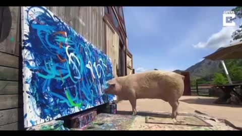 A painter in the pig world