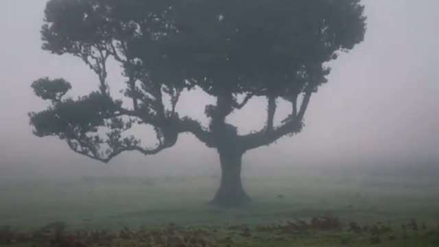 I don't know why, just like the atmosphere scene