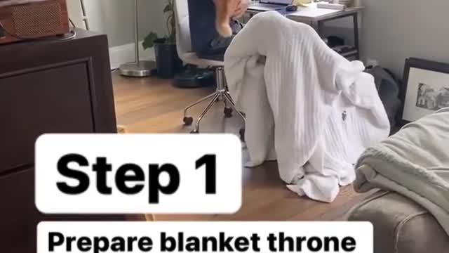 "Skip directly to step 2 🐈"
