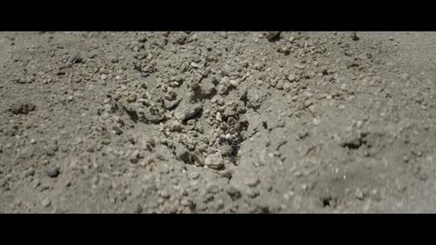 Mom Clones 20 Girlfriends For Her Son So He Can Satisfy His Needs