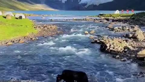 Nature will often create some magical scenes, let people feast their eyes!230