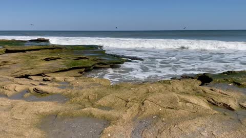 Coquina Rocks at Kure Beach Stationary