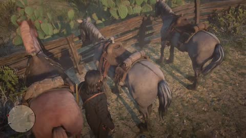 Horse teamwork