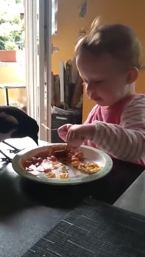 Crianças Almoço - Onde come um Come DOIS ! @selvaeaco (2022,10,16)