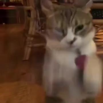 Wow, it was very good, don't miss it