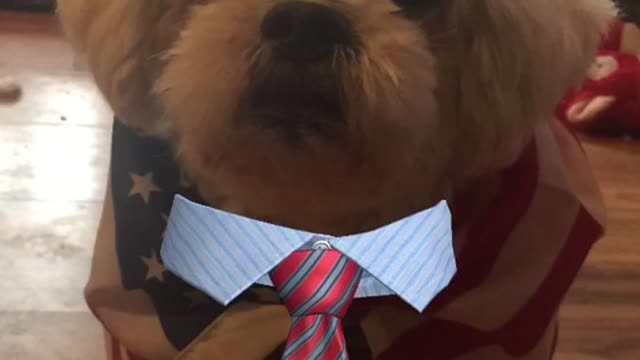 Loulou aka Louis news 📰 since CNN FAKE news 📰 freaks don’t put true news out. Loulou on update