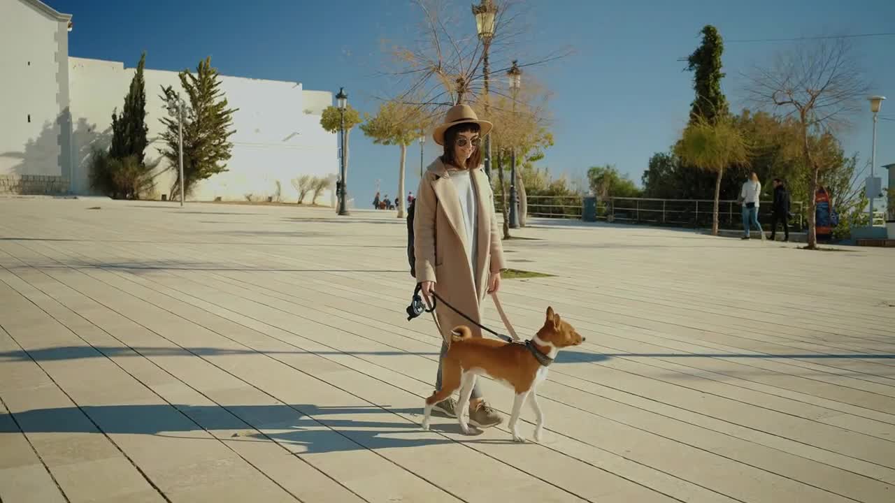 Attractive brunette girl walks with her beautiful and curious basenji dog on leash