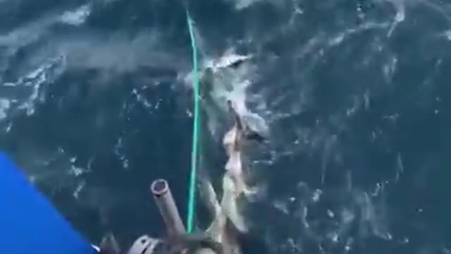 HERE'S HOW TO FISH