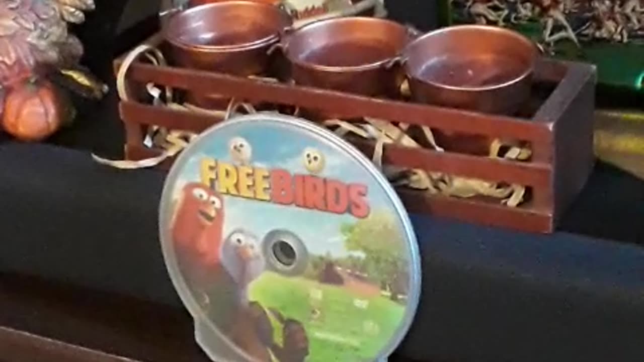 Free Birds!!🦃