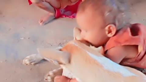 Dog is cute baby is funny moments #shorts #rumble short video