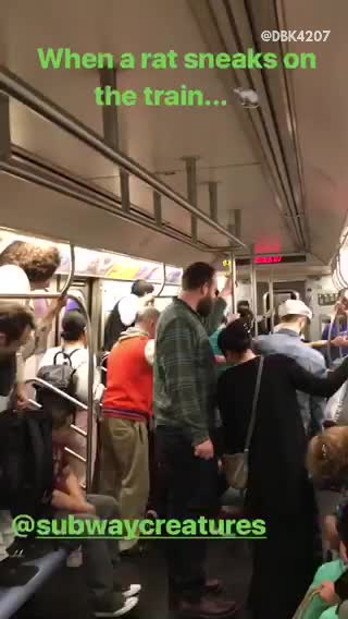 When a rat sneaks onto the train people standing on seat because of rat