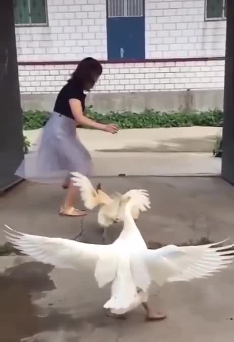 Video Remix. Running.