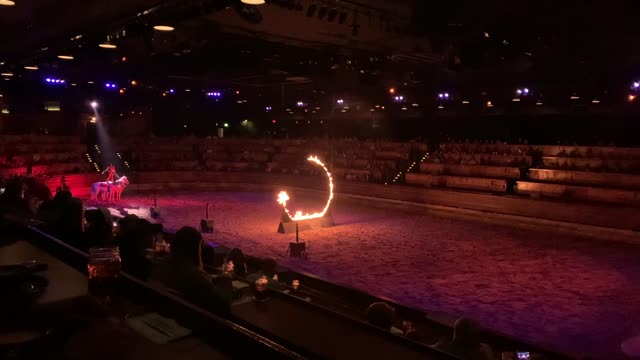 Dixie stampede