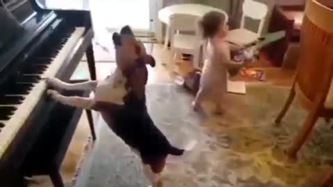 See how dog is playings piano and singing