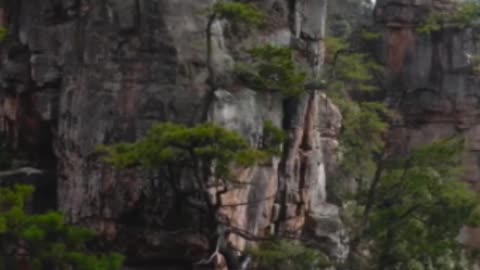The Hidden Biodiversity of China's South