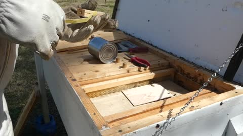 BEE PACKAGE INSTALL (Video 1 OF 2)