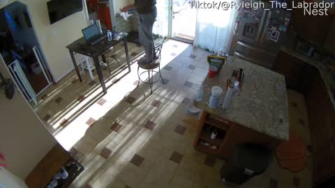 Dad Surprised by Cheeky Barstool