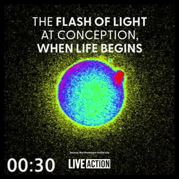 The Moment Life Begins!