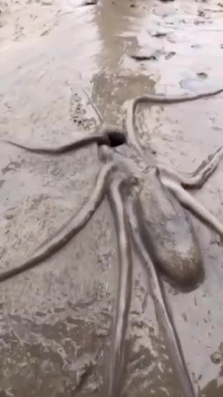 The ocean is fascinating and mysterious but also SCARY.