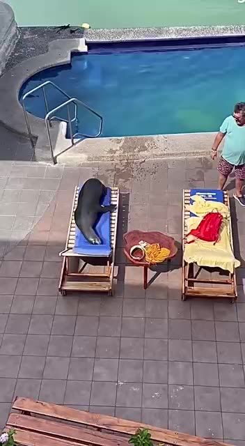 Sorry Mr tourist that is my spot