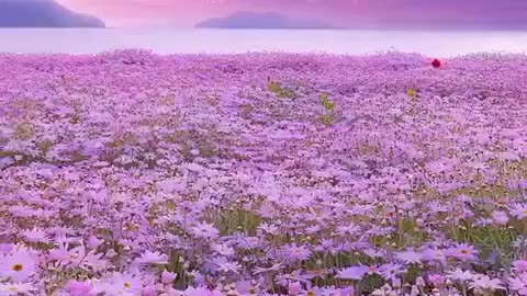 shades of nature