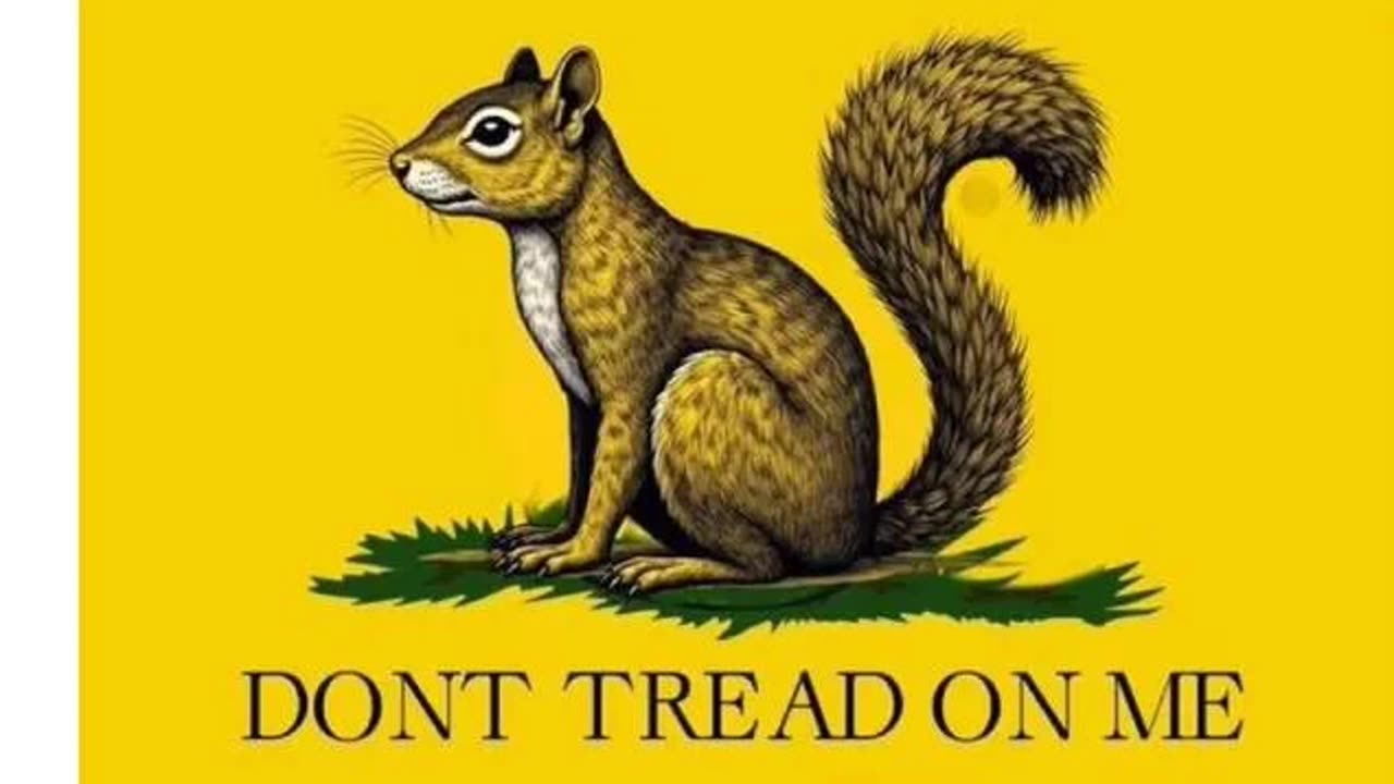 Episode 302: Squirrelling Around with Elections & Bureaucrats