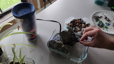 Desk Fountain Version 2