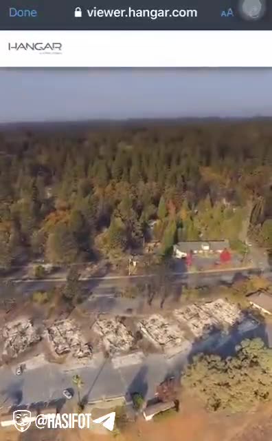 House and cars burned trees next to them not