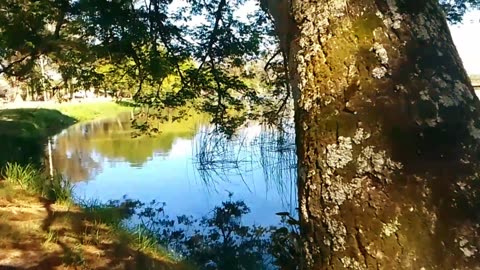 Paseíto por Laguna de las Lavanderas de Tacuarembó (20/10/2024)