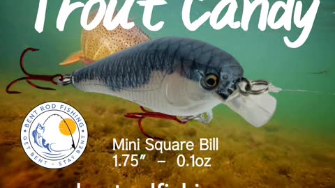 Trout Candy!