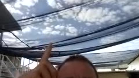 LADIES & GENTLEMEN SOLVED. JOY.