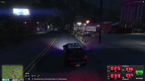Random boar hit by police