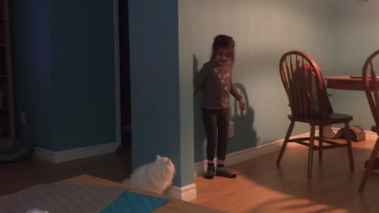 Cat loves to play hide-and-seek with little girl