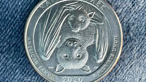 The 2020 US Quarter Has Bats On It 🟠⚪🟣The NPC Show