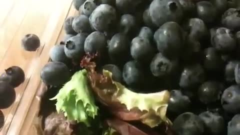 BLUEBERRY BREAKFAST FRUIT SALAD RECIPE - RAW FOOD in 60 SECONDS - Aug 14th 2011