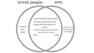 British V.S. Ants