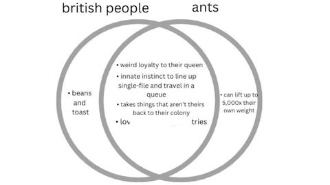 British V.S. Ants