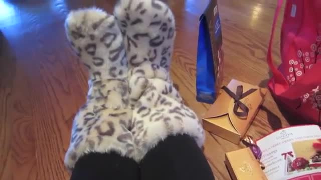 Vlogidays 2012 (November 28): I'm A Snow Leopard