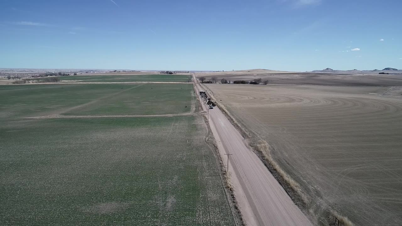 Cattle Drive - to CR24 field - #2