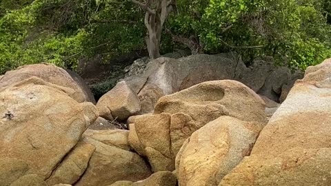 A natural rock formations a cross the trees