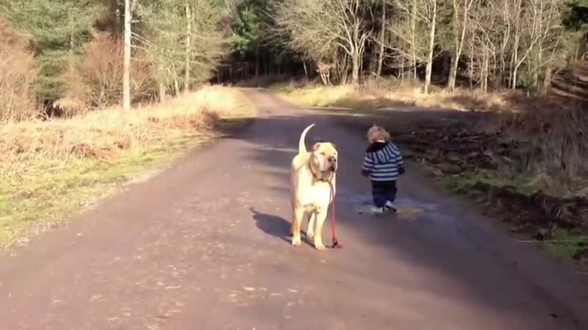 Best friend baby and dog