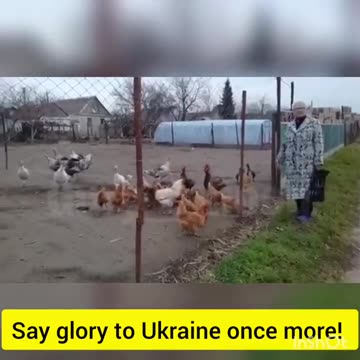 ΕΠΟΣ-OI ΓΑΛΟΠΟΥΛΕΣ ΤΟΥ ΠΟΥΤΙΝ