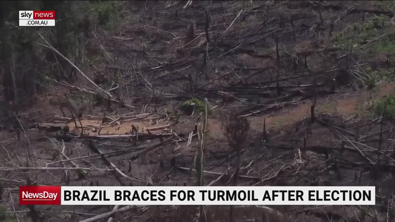 Environmentalists happy with Brazilian election result