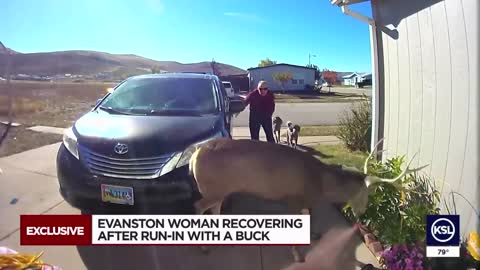 Woman has driveway run in with buck